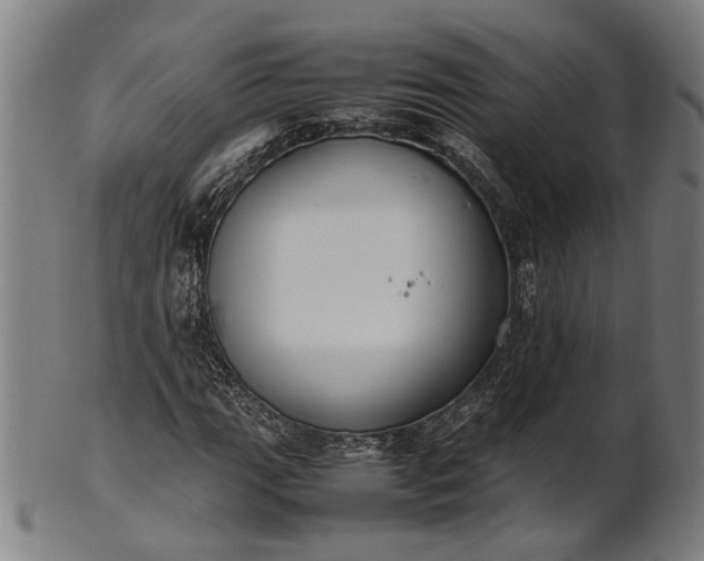 X0000101221111200807111050