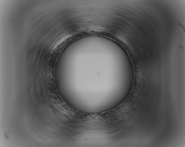 X0000101221112200807111050