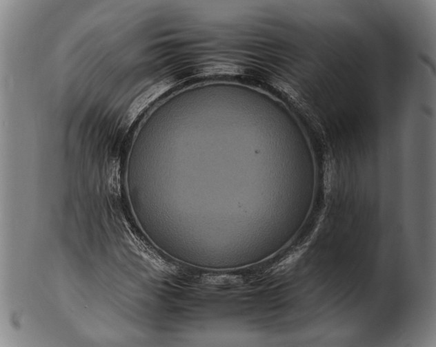 X0000101221113200807111050