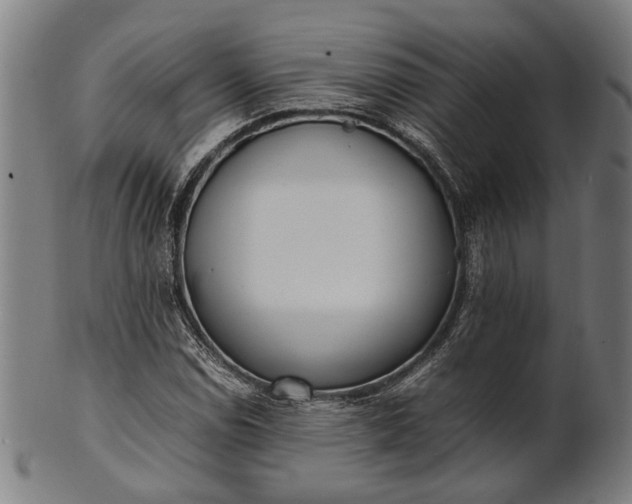 X0000101221114200807111050