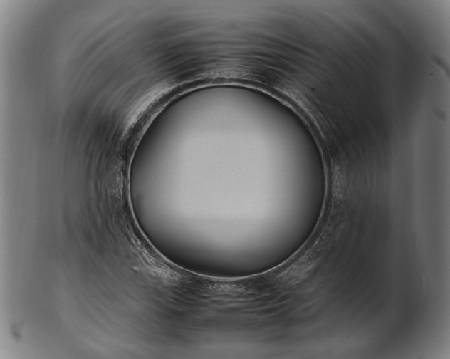 X0000101221115200807111050