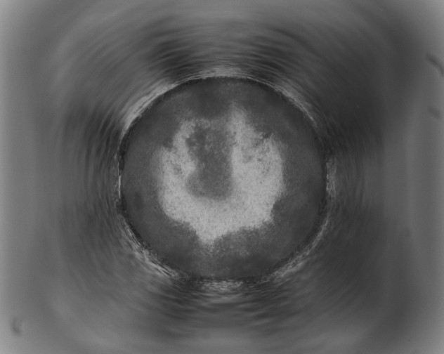 X0000101221117200807111050