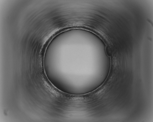 X0000101221118200807111050