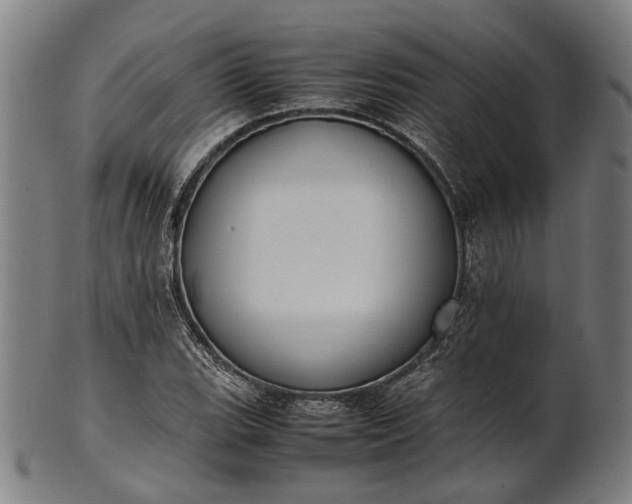 X0000101221119200807111050
