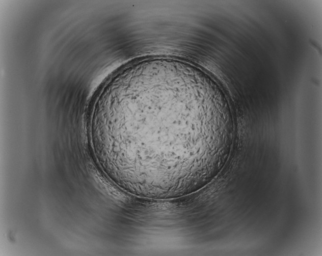 X0000101221120200807111050