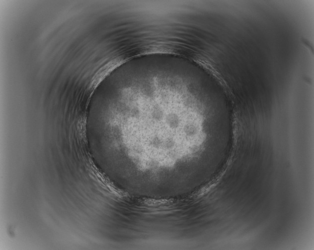 X0000101221121200807111050