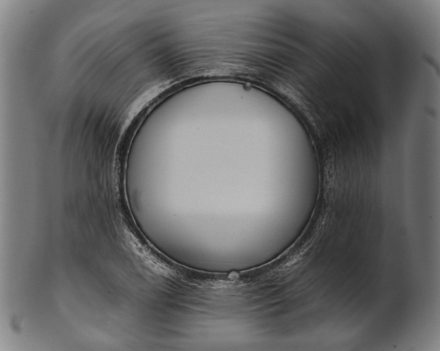 X0000101221122200807111050