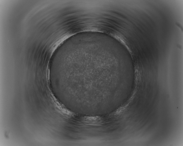 X0000101221125200807111050