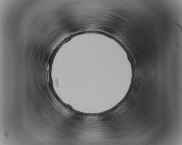 X0000101221126200807111050