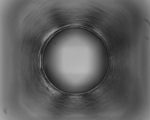X0000101221127200807111050
