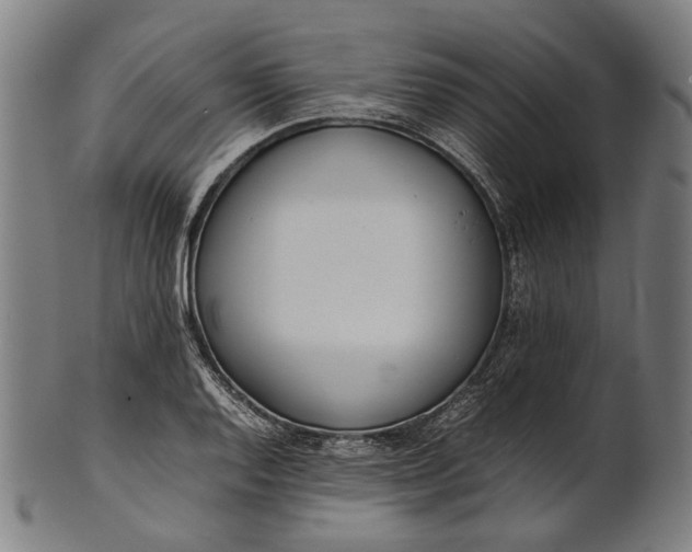 X0000101221128200807111050