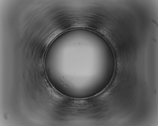 X0000101221129200807111050