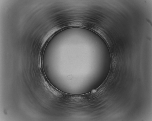 X0000101221131200807111050