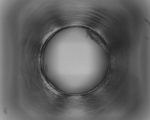 X0000101221134200807111050