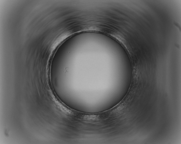X0000101221135200807111050