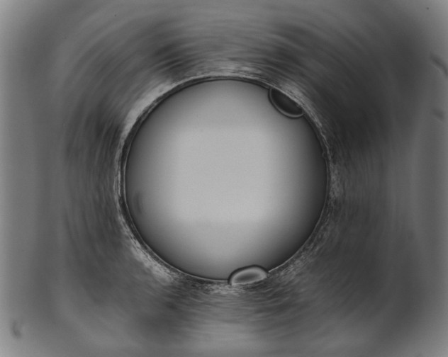 X0000101221136200807111050