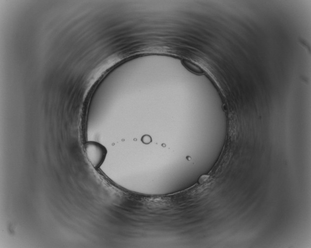 X0000101221139200807111050