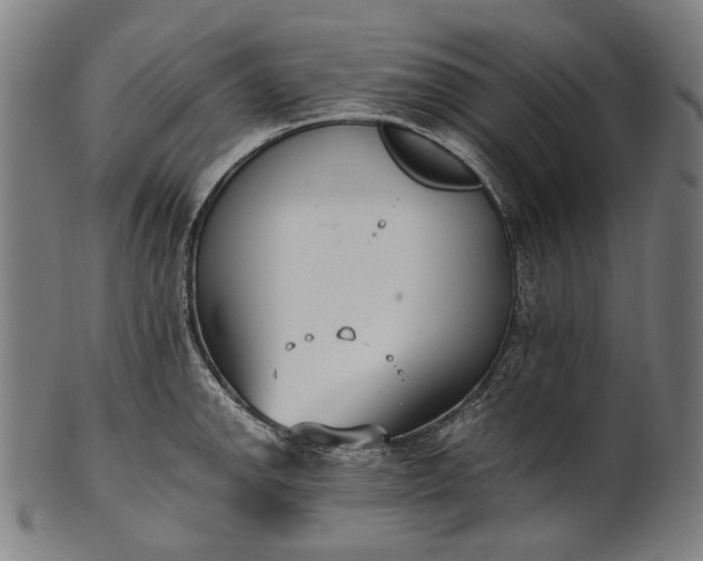 X0000101221142200807111050