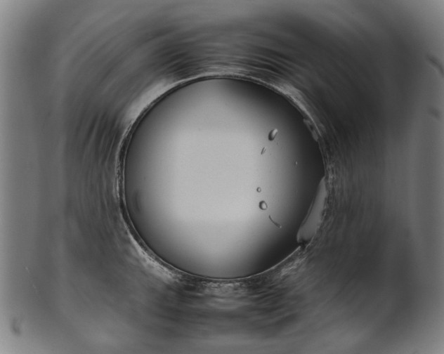 X0000101221143200807111050
