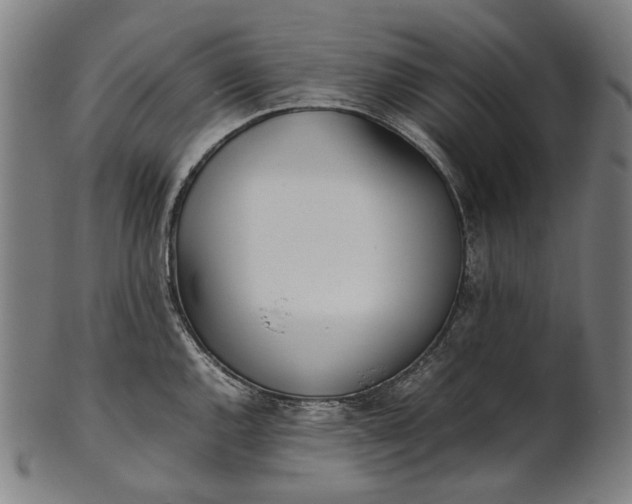 X0000101221144200807111050