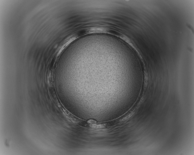 X0000101221145200807111050