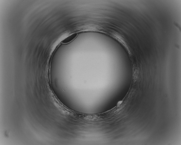 X0000101221146200807111050