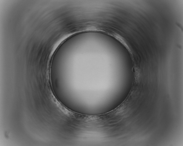 X0000101221148200807111050
