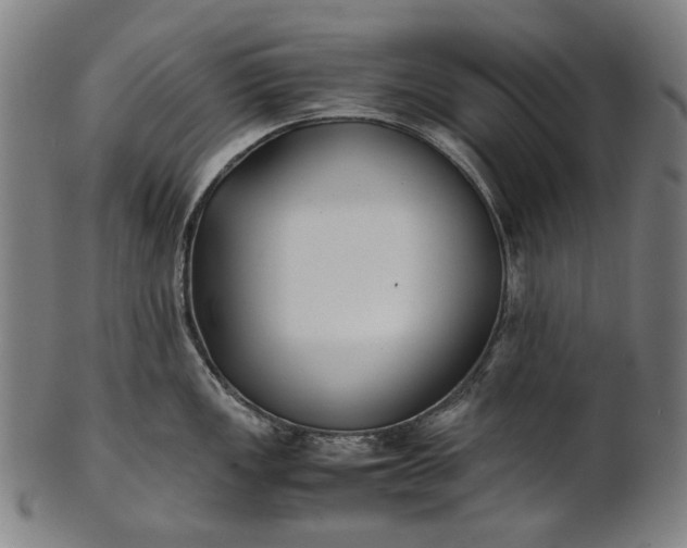 X0000101221149200807111050