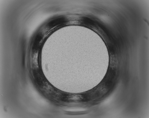 X0000101221150200807111050