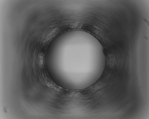 X0000101221154200807111050