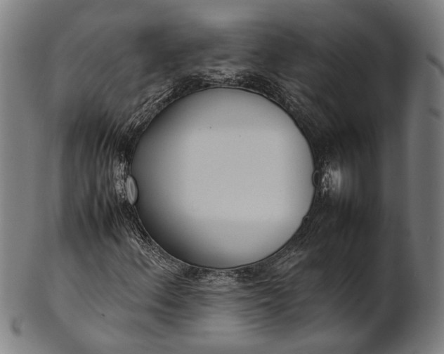X0000101221156200807111050