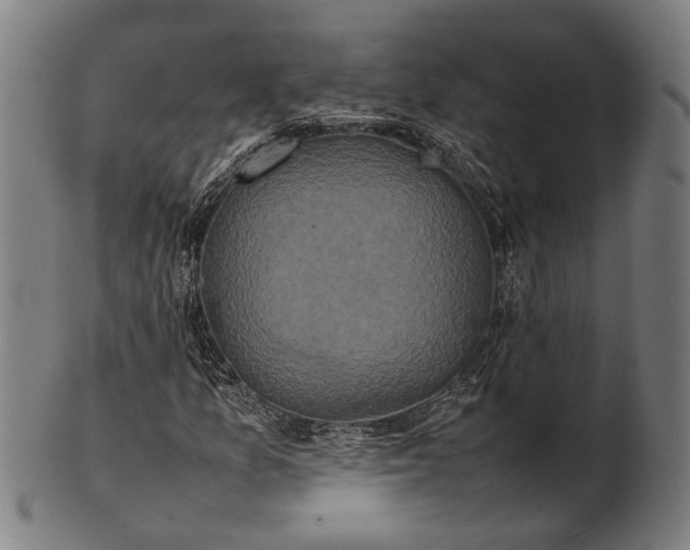 X0000101221157200807111050