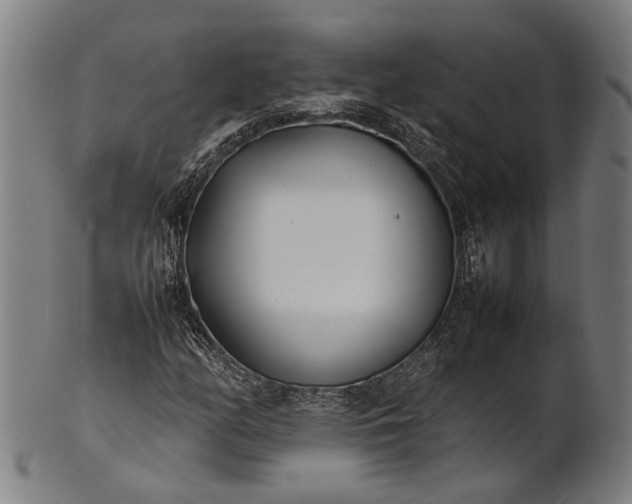 X0000101221158200807111050