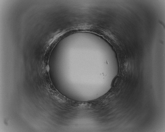 X0000101221160200807111050