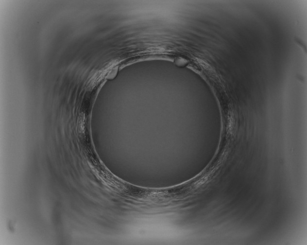 X0000101221161200807111050