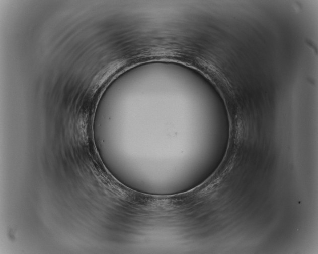 X0000101221162200807111050