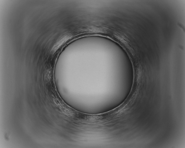 X0000101221163200807111050