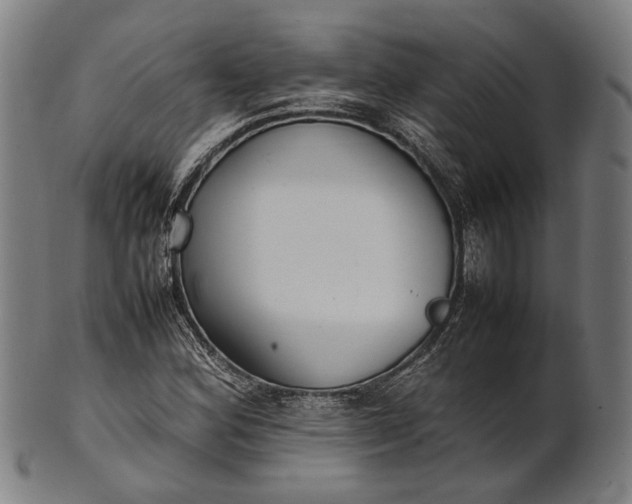 X0000101221164200807111050