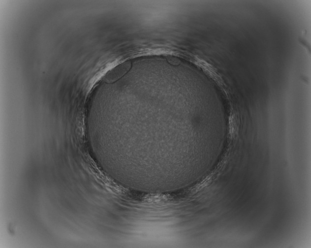 X0000101221165200807111050
