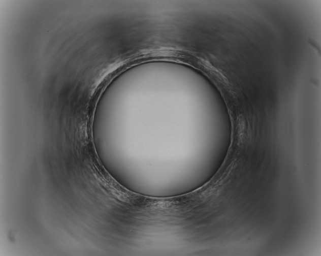 X0000101221166200807111050