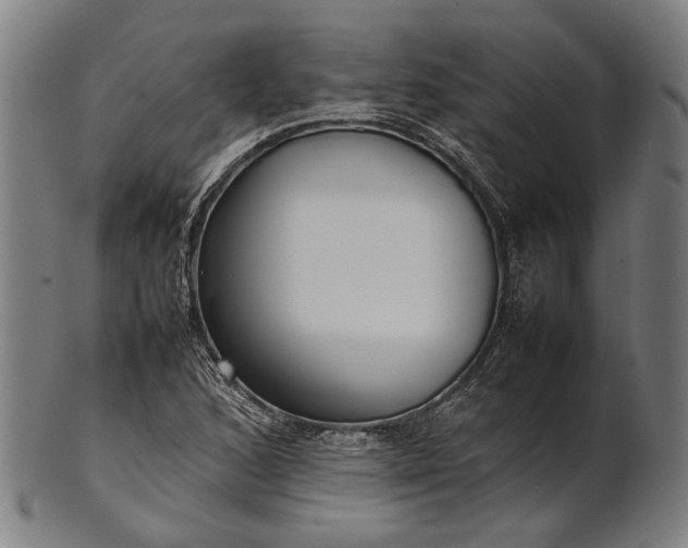 X0000101221168200807111049