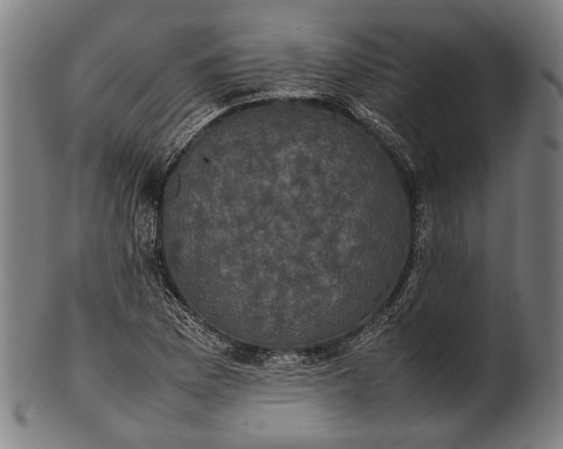 X0000101221169200807111049