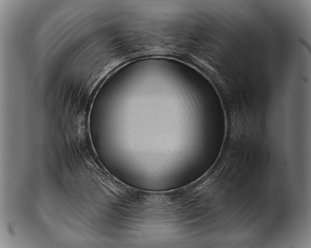 X0000101221170200807111049