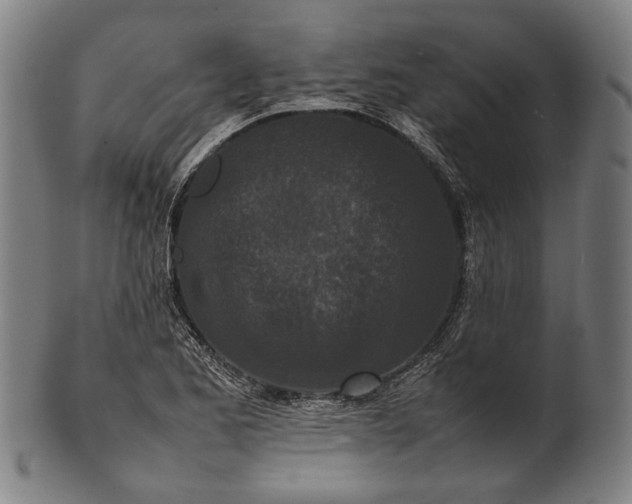 X0000101221173200807111049