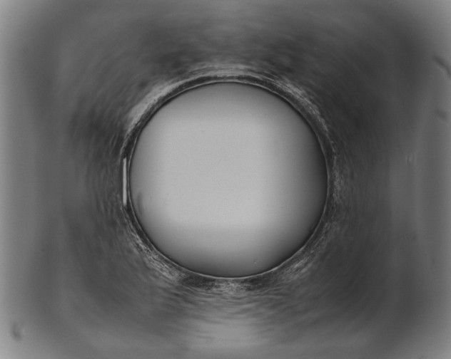X0000101221175200807111049