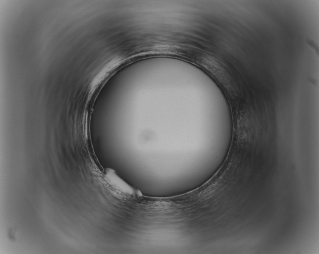 X0000101221180200807111049