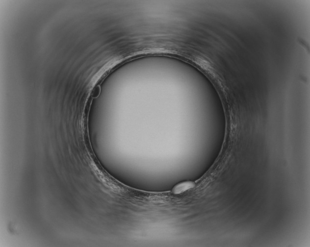 X0000101221181200807111049