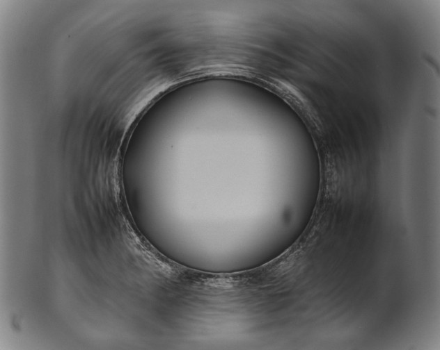 X0000101221182200807111049