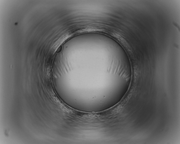 X0000101221185200807111049