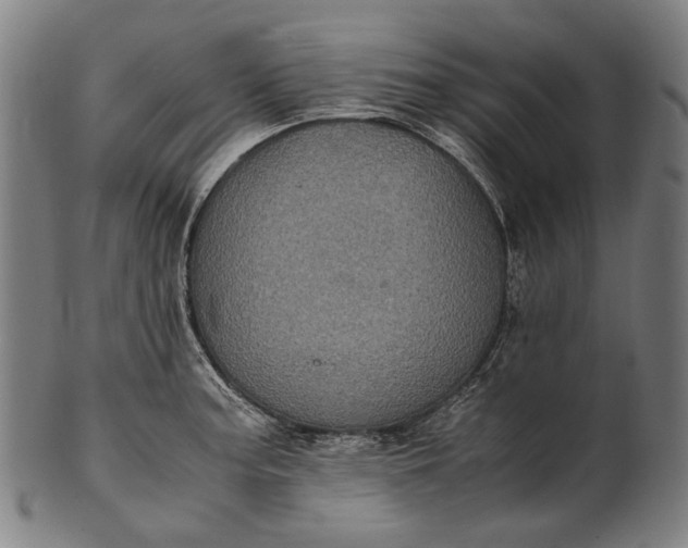 X0000101221187200807111049